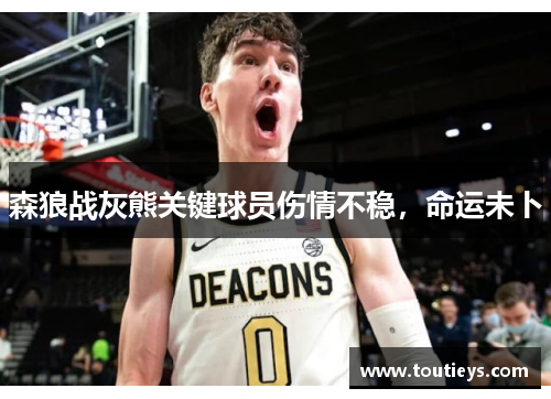 森狼战灰熊关键球员伤情不稳，命运未卜